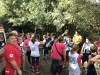 Attatrail 2017