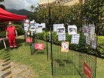 Florarte 2017