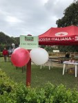 Florarte 2017