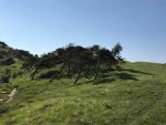 Gran Trail Rensen 2017