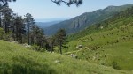 Gran Trail Rensen 2017