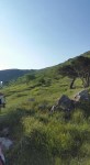 Gran Trail Rensen 2017