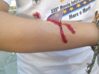 Simulazione 2009